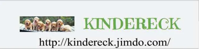 Bild: Neue Webseite "Kindereck"