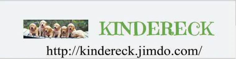 Bild: Neue Webseite "Kindereck"