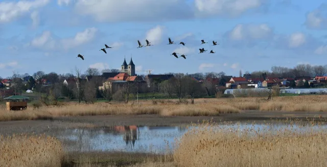 Bild: „Seeländereien bei Frose“: Einsatz für ein einzigartiges Naturparadies