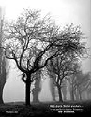 Bild: Lyriklandschaft - Auf einer Spur mit Caspar David Friedrich