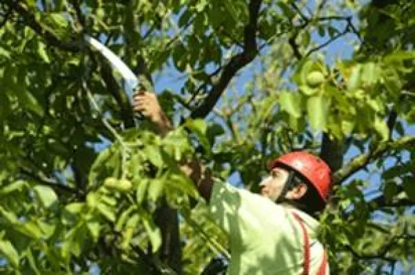 Bild: Frühjahrsputz im Garten
