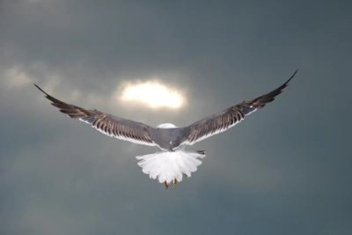 Bildquelle: sokaeiko / pixelio.de