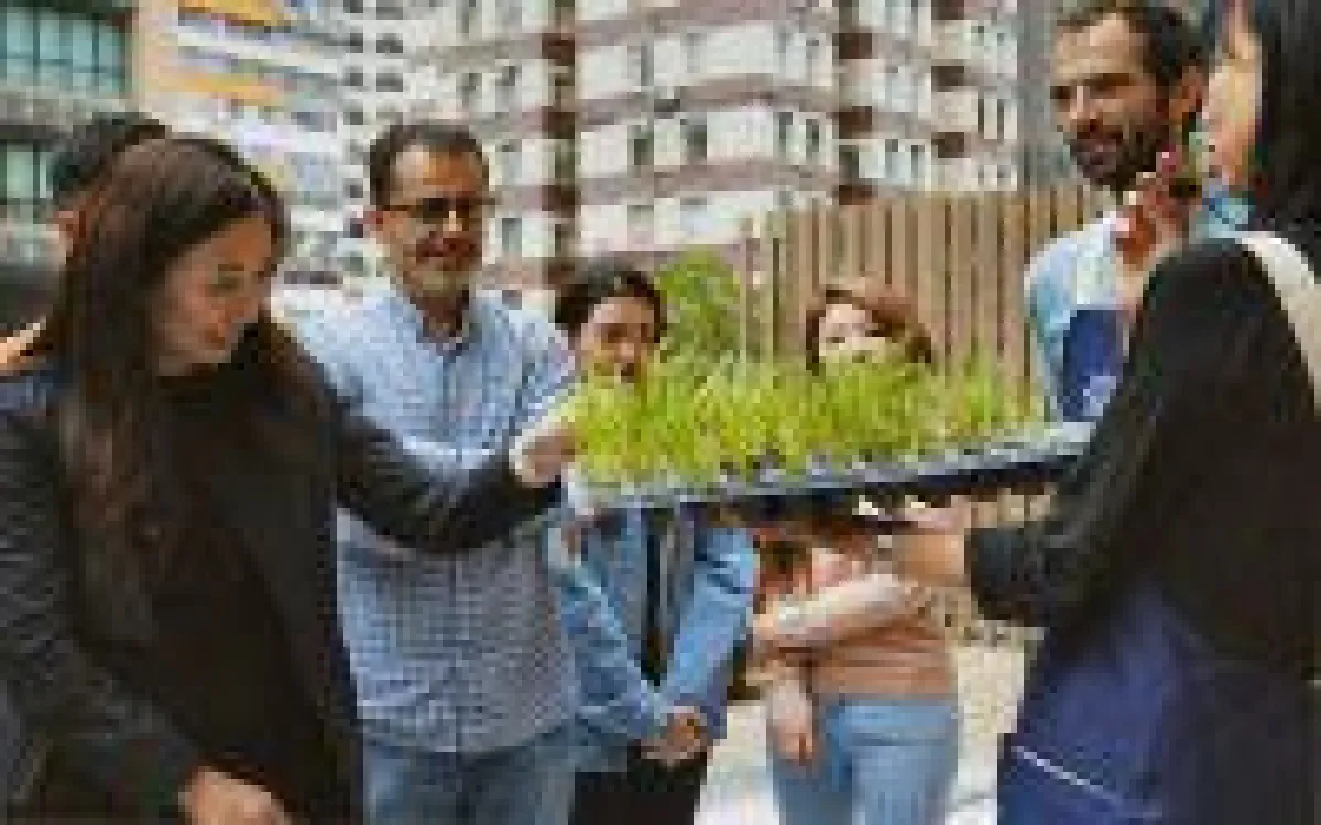 Bei Garage Greens kann man mitten in Hongkong sein Gemüse selbst anbauen. Foto: Garage Society