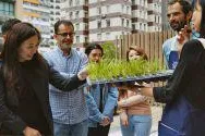 Gemüse aus eigenem Anbau - Hongkonger Einwohner entdecken den Terrassengarten Bild: Gemüse aus eigenem Anbau - Hongkonger Einwohner entdecken den Terrassengarten