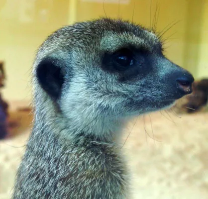 Bild: REVIERKÖNIG übernimmt Tierpatenschaft im Bochumer Tierpark