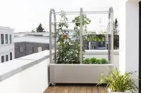 Bild: Mobiles Gewächshaus von Hoklartherm ermöglicht Urban Gardening