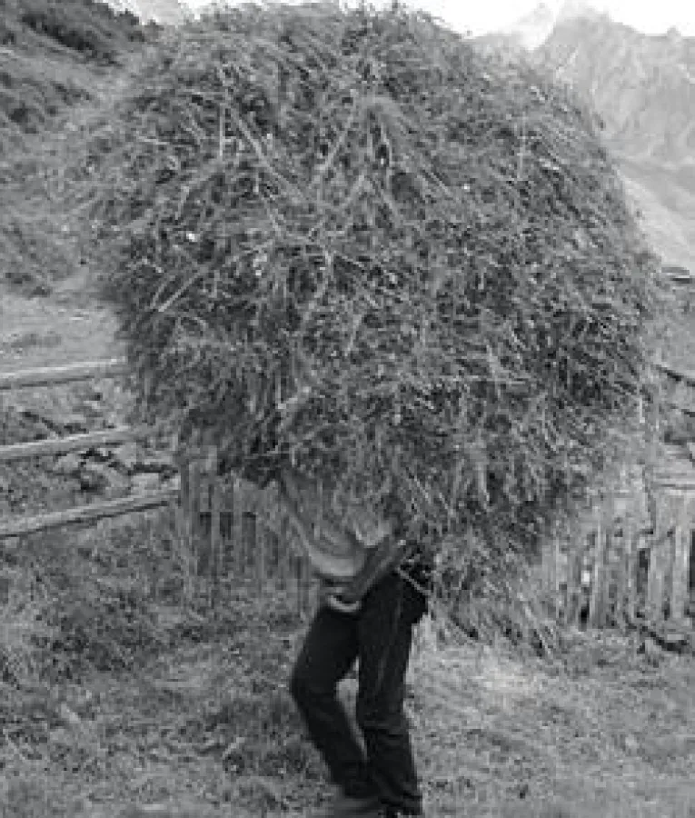 Am 3.Juli 2010 findet in Nürnberg der 3. Zirkonzahn-Heldentag unter dem Motto ?mit eisernem Willen