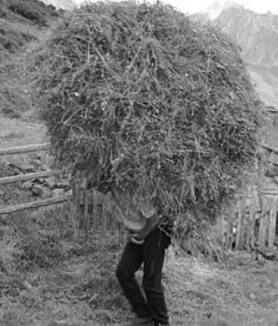 Bild: Mit eisernem Willen zum 3. Zirkonzahn-Heldentag in Nürnberg
