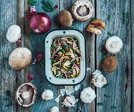 Bild: Vegane Burger-Alternative: Pilze auf dem Vormarsch