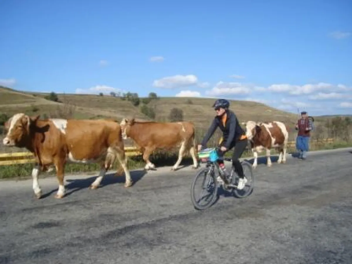 Foto: Radissimo-ActiveHolidays