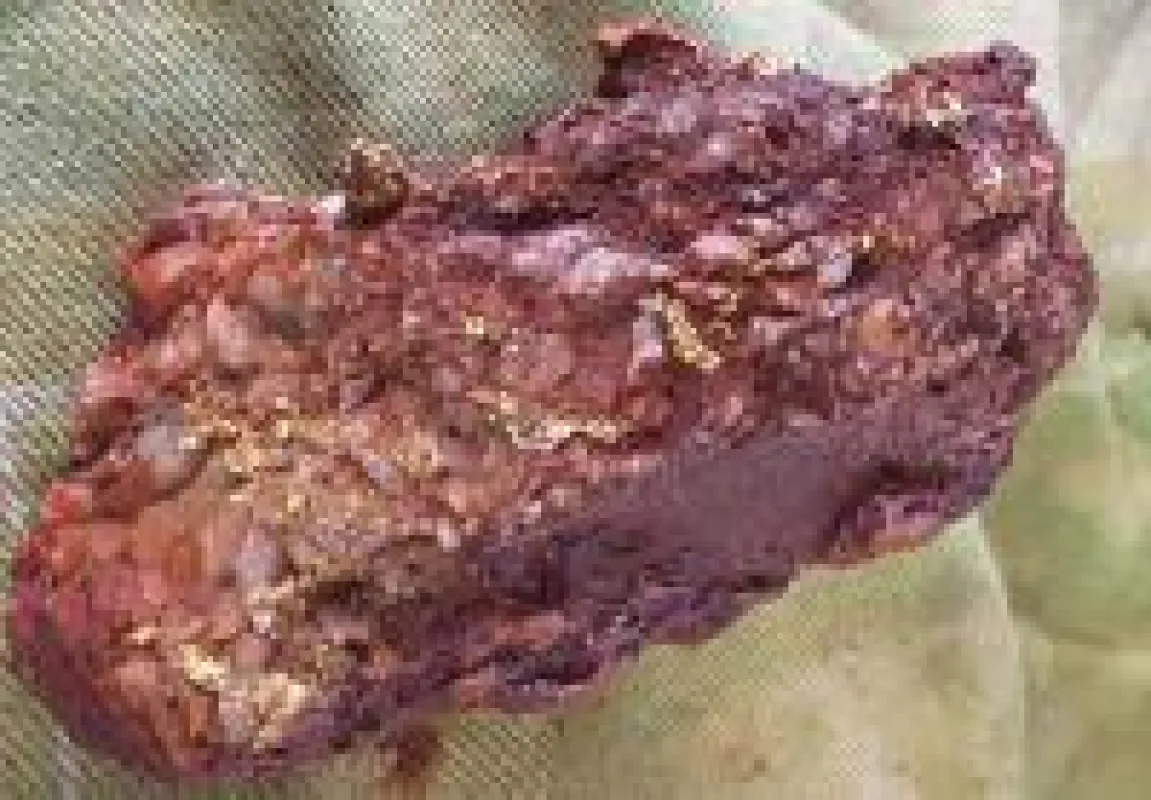 Goldnugget von Toweranna; Foto: De Grey Mining