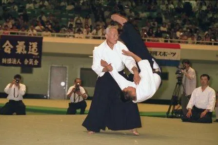 Bild: Schüler des Aikido-Begründers zu Gast in Hamburg