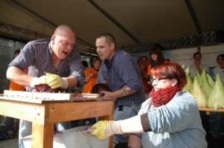 Bild: Kohl und Knööv