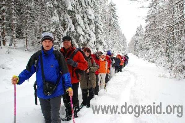Bild: Gemeinsam auf Schneeschuhen durch den Nationalpark