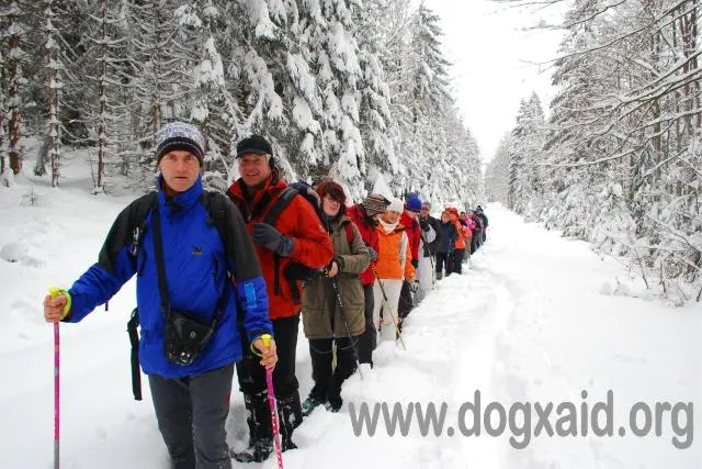 Bild: Gemeinsam auf Schneeschuhen durch den Nationalpark