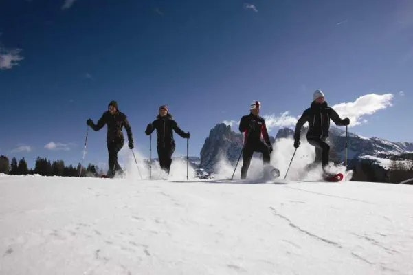 Bild: Schneeschuhwandern jetzt in 33 Vitalpina Hotels Südtirol