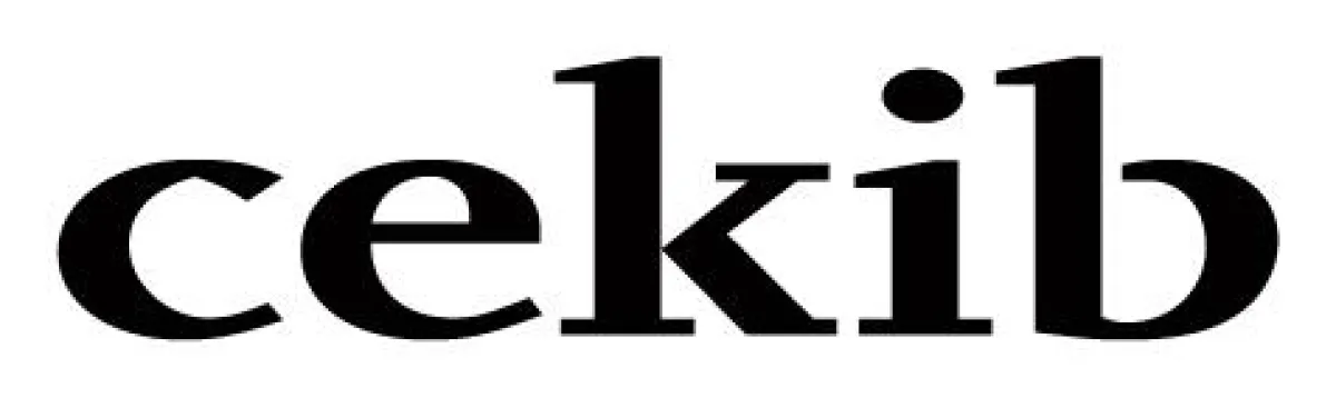 cekib eröffnet ein virtuelles Schaufenster unter www.cekib-fernlehrgaenge.de