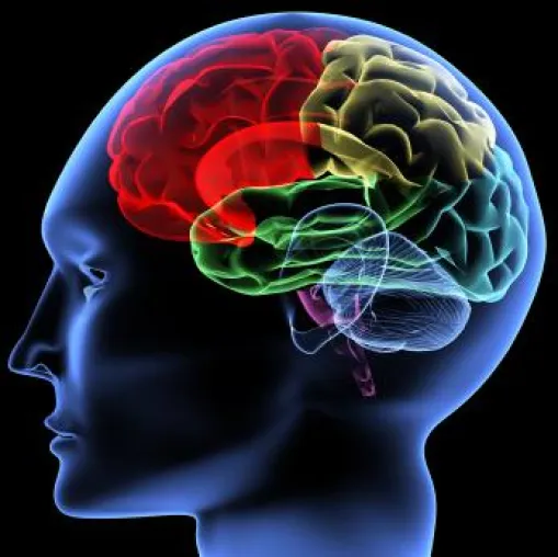 Der Karrieremacher - Headhunter nimmt Bewerber ins Visier Bild: Der Karrieremacher - Headhunter nimmt Bewerber ins Visier