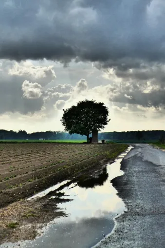 Neue Sichtweisen - der Niederrhein in unbekannter Ästhetik Bild: Neue Sichtweisen - der Niederrhein in unbekannter Ästhetik