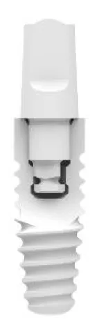 Bild: Keramikimplantat oder Titanimplantat?