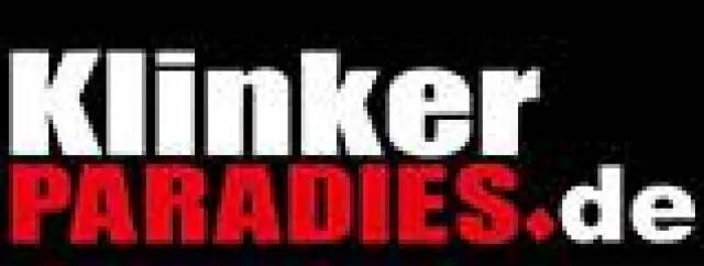 Bild: Klinkerriemchen kaufen im Internet