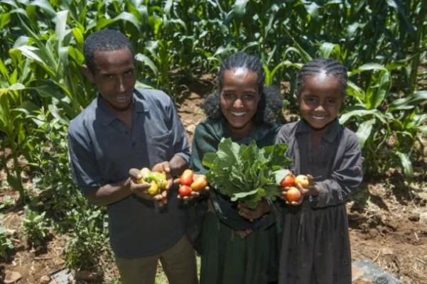 Bild: Stiftung Menschen für Menschen setzt sich für nachhaltige Landwirtschaft in Äthiopien ein