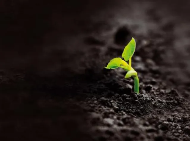 „Dem Schweigen entwachsen“ Bild: „Dem Schweigen entwachsen“