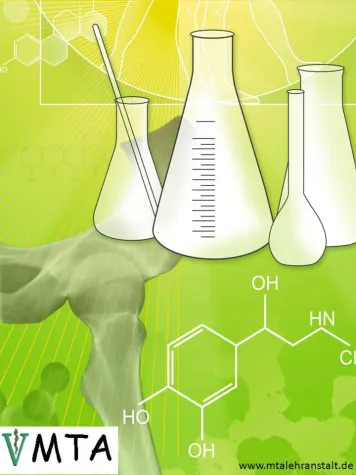 Bild: Berufsausbildung zur Veterinärmedizinisch-technischen Assistent (VMTA), Infotag am 20.03.15