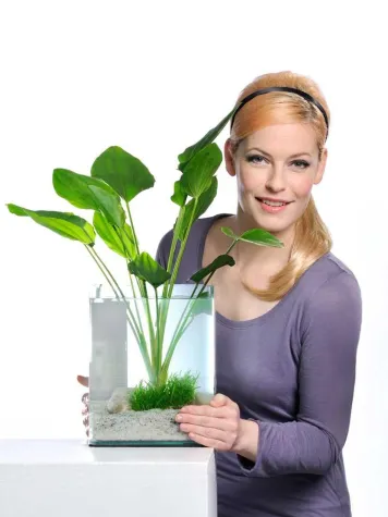 Bild: TV-Moderatorin Enie zeigt Flagge für Dennerle