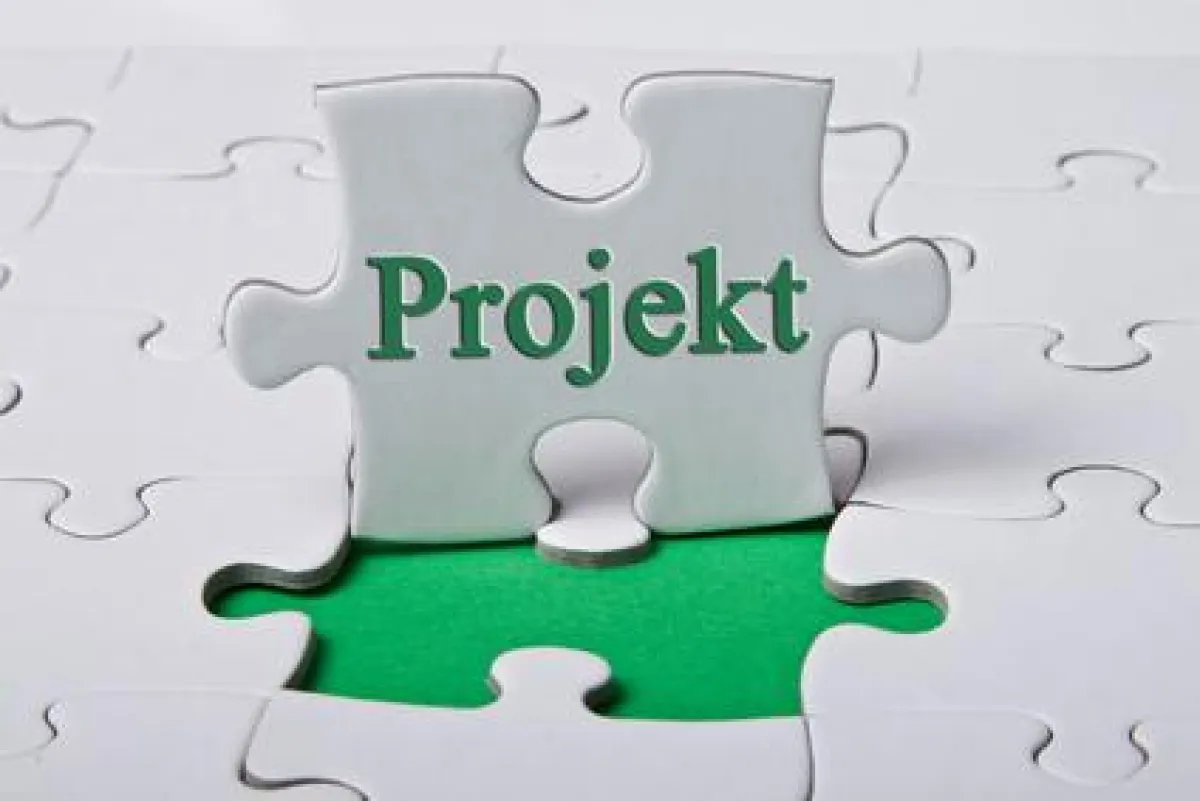 Herausforderung beim Projektportfoliomanagement: Das richtige Projekt ausfindig machen