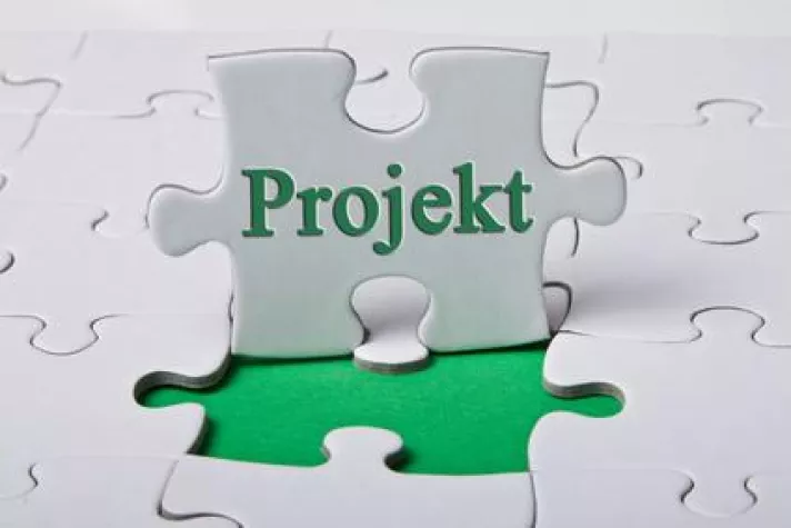 Bild: Risikomanagement im Projektportfolio und die Suche nach den „richtigen Projekten“