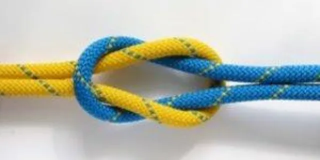 Bild: Non-Profit-Organisationen profitieren von Kooperation zweier Agenturen für wirkungsvolle Kommunikationmaßnahmen