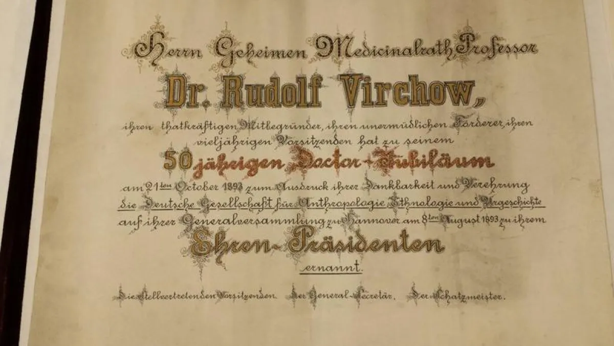 Urkundenausschnitt zur Verleihung der Ehrenpräsidentschaft der Deutschen Gesellschaft für Anthropologie, Ethnologie und Urgeschichte aus dem Jahr 1893 (Repro: Universitätsarchiv der HU)