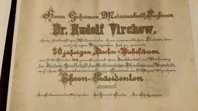Bild: Urkunden von Rudolf Virchow werden restauriert und dadurch erstmals zugänglich gemacht