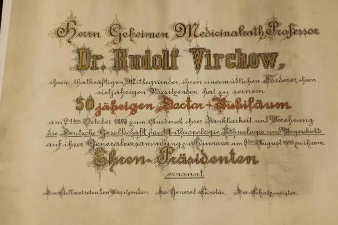 Bild: Urkunden von Rudolf Virchow werden restauriert und dadurch erstmals zugänglich gemacht
