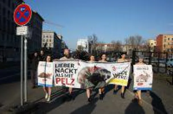 "Lieber nackt als mit Pelz" - Tierrechtler demonstrieren nackt zum Start der Fashion Week in Berlin Bild: "Lieber nackt als mit Pelz" - Tierrechtler demonstrieren nackt zum Start der Fashion Week in Berlin