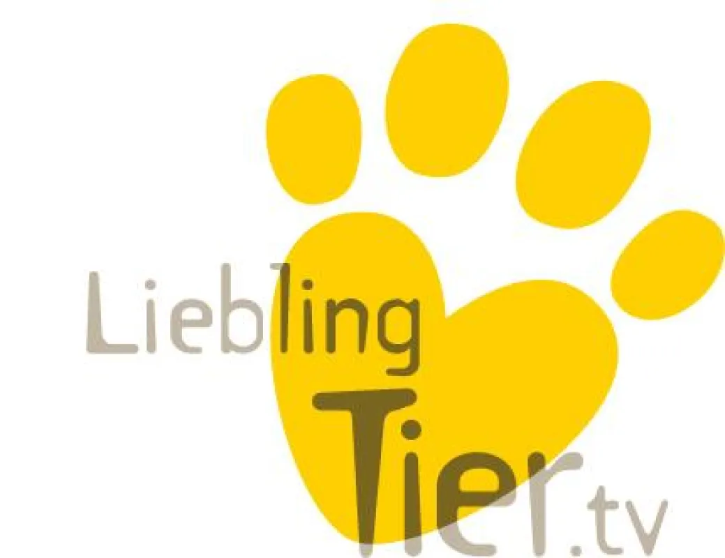 Spartenkanäle wie der erste Tiersender im deutschsprachigen Internet entwickeln sich immer mehr zur TV-Konkurrenz.