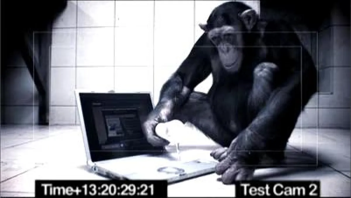 Affe testet den Härtefall