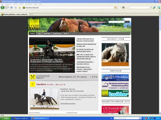 Bild: Hannoveraner präsentieren sich auf HORSEtoday.