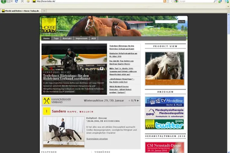 Hannoveraner präsentieren sich auf HORSEtoday. Bild: Hannoveraner präsentieren sich auf HORSEtoday.