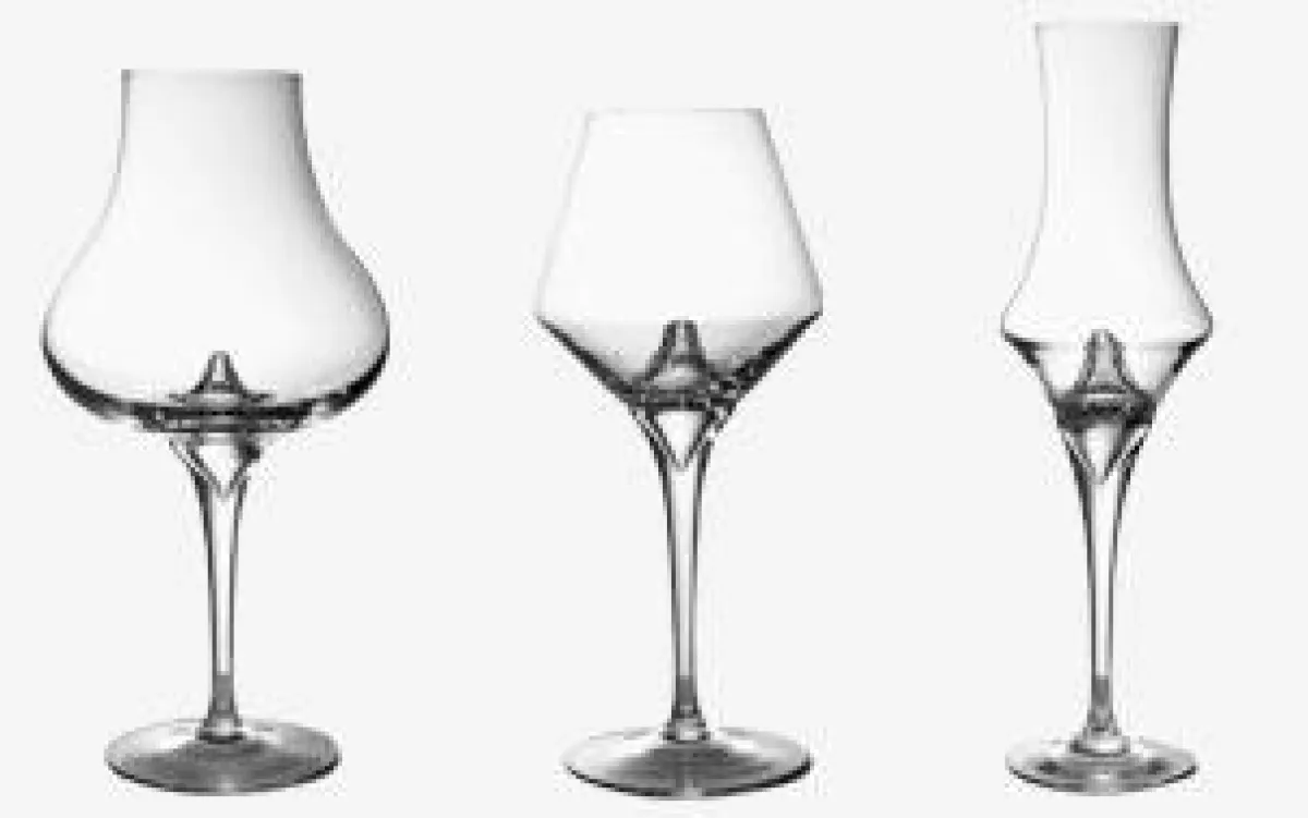 Truetaste Weinglas-Rotweinglas-Weissweinglas-Champagnerglas