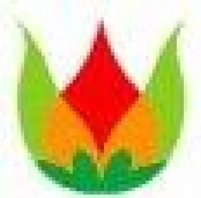 Bild: maintrac® als rationale Grundlage für die Wahl der richtigen Krebstherapie