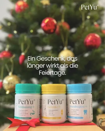 Bild: Weihnachten für Fellnasen – Ruhe statt Reizung: Wie PetYu Hunden und Katzen durch stressige Wintertage hilft