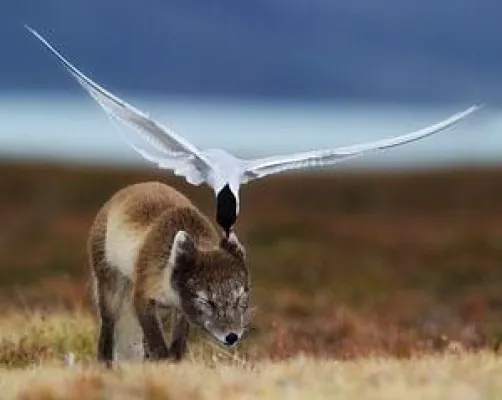 Bild: Schönste Natur-Fotografien kommen in den Bahnhof Berlin-Friedrichstraße