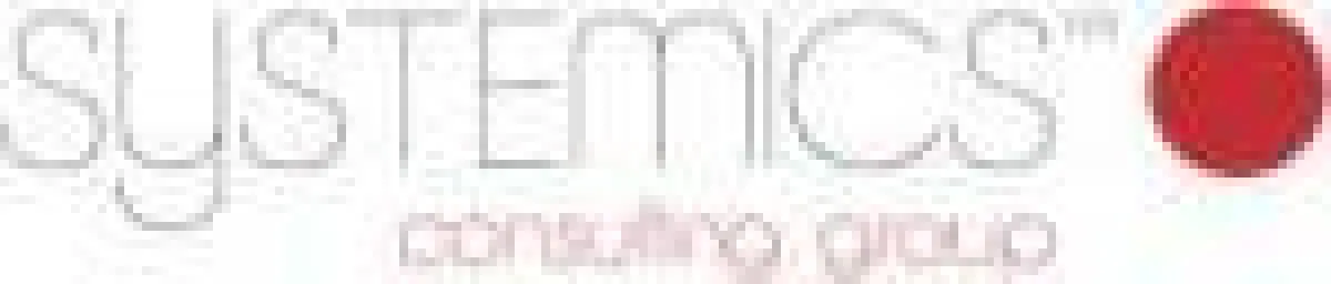 systemics consulting group, Geschäftsführender Partner: Thomas Binder