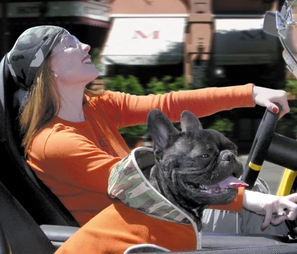 Der neue Trend für Hundefans: Partnerlook für Hund und Frauchen Bild: Der neue Trend für Hundefans: Partnerlook für Hund und Frauchen