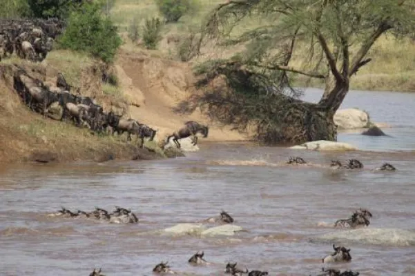 Bild: Botswana und Namibia – Wüstensafari im südlichen Afrika