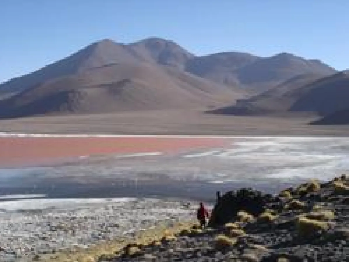 Laguna Colorada in Bolivien
