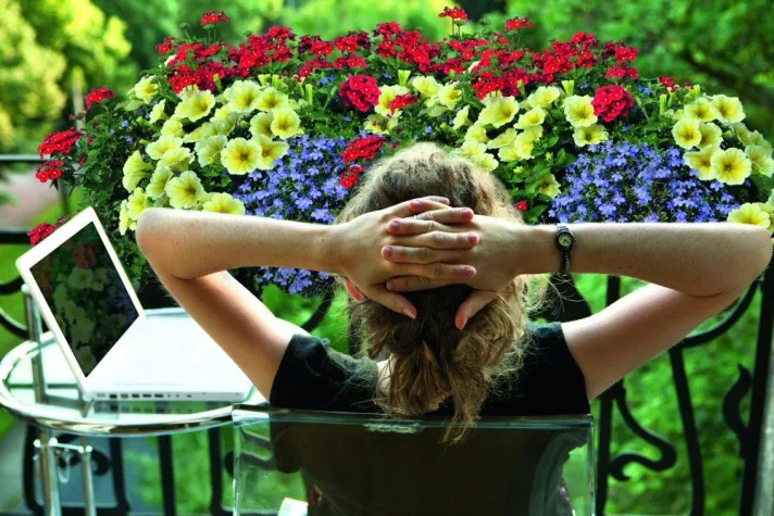 Bild: Pflanzen, gießen und genießen: Sommerfeeling mit Pflanzenmischungen