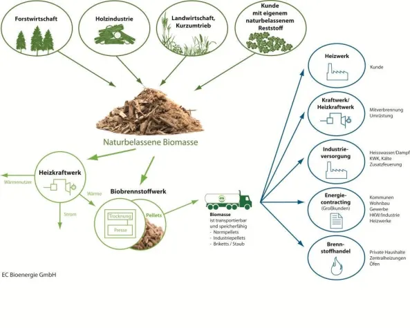 Bild: Treber als Brennstoff für die Brauindustrie